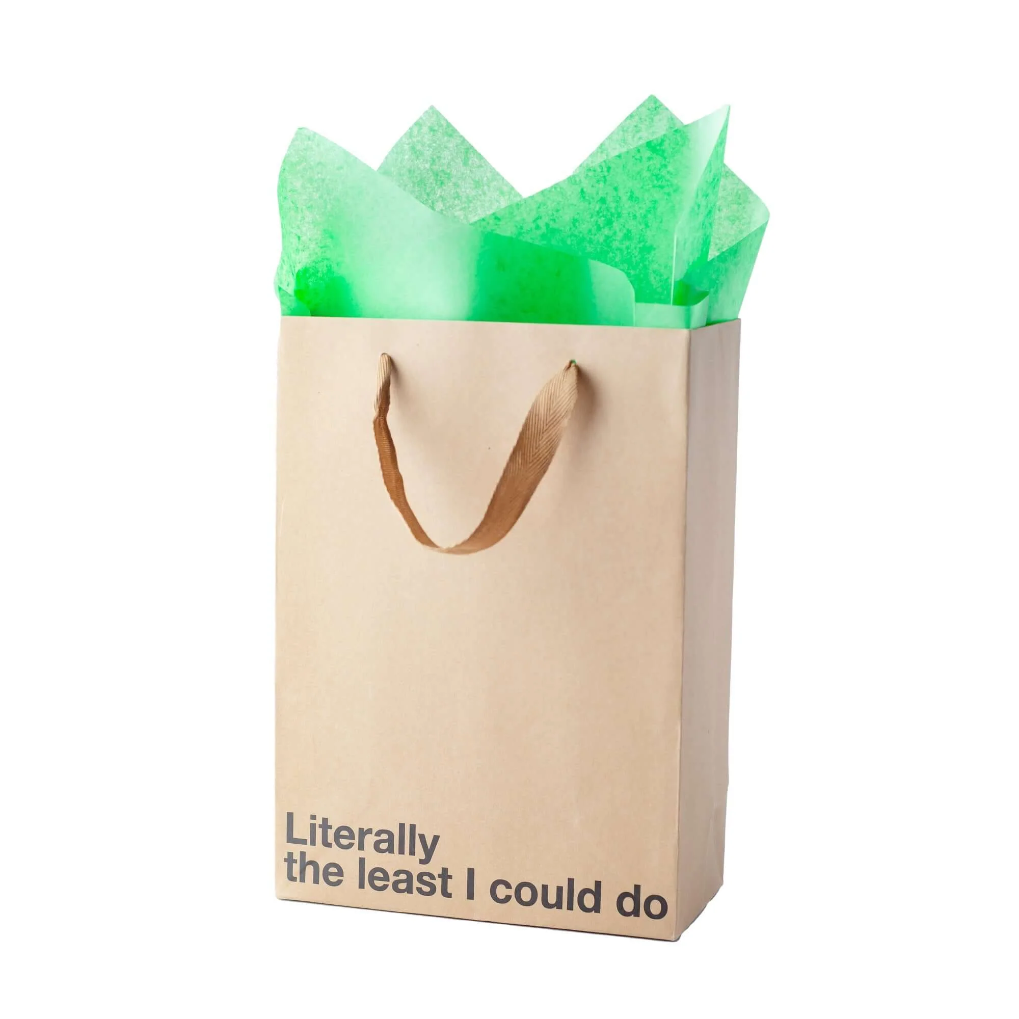 "Literally the least I could do" Gift Bag - Image 5