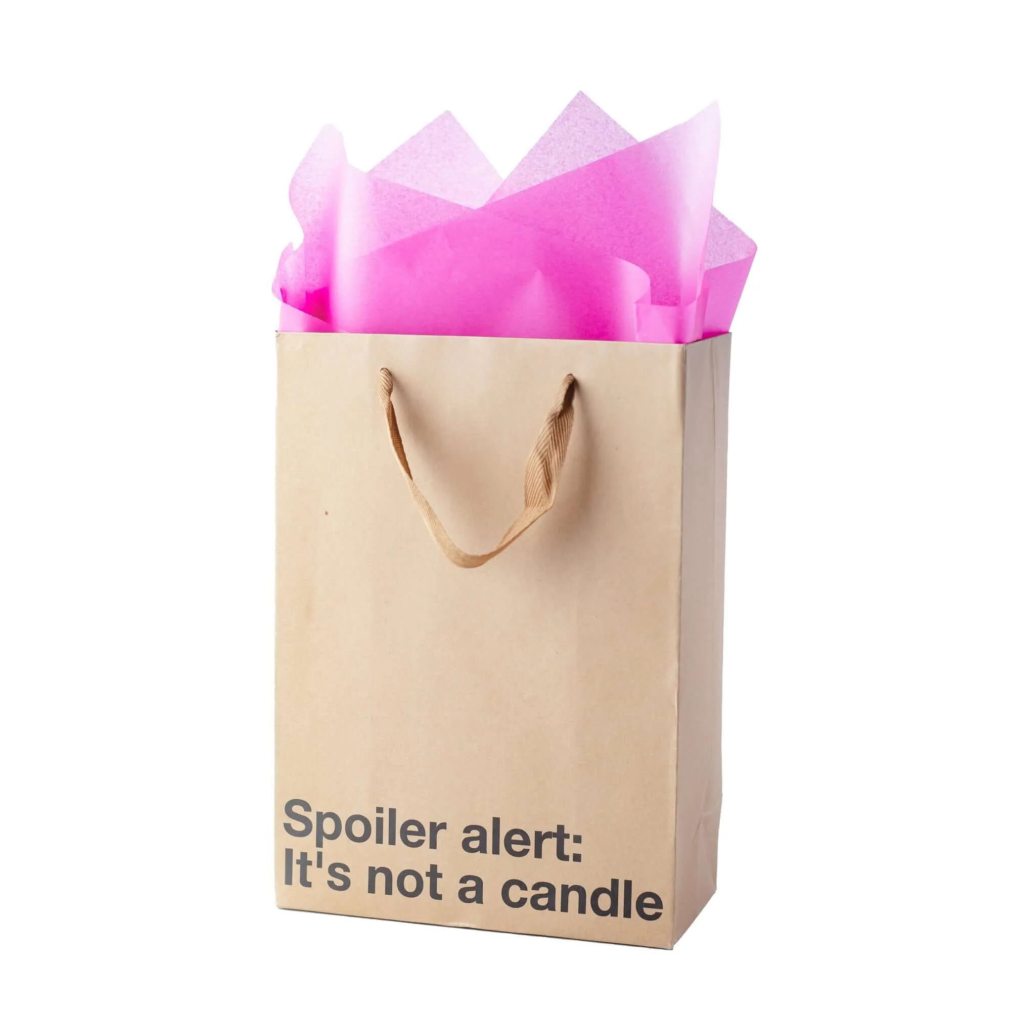"Not A Candle" Gift Bag - Image 5