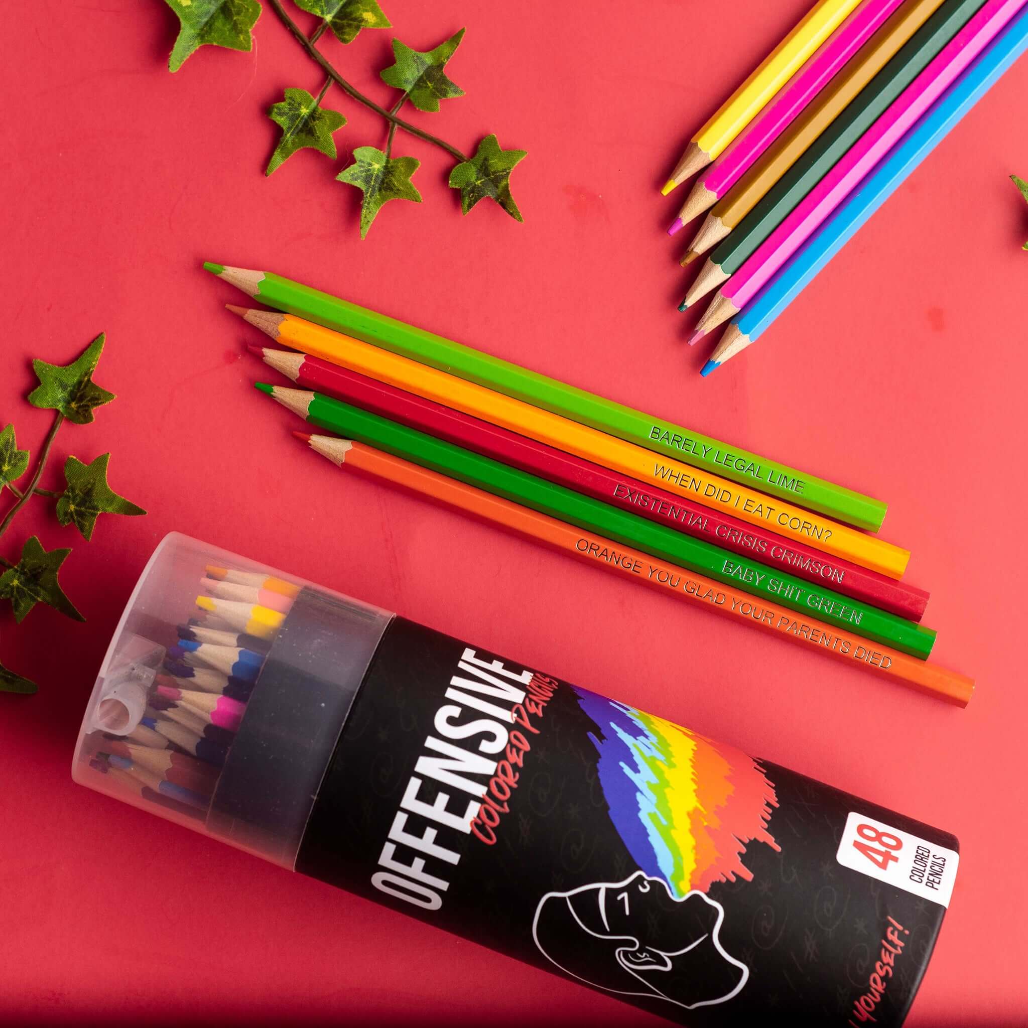 Offensive Colored Pencils - Image 3