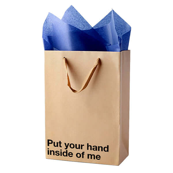 "Put your hand inside of me" Funny Profanity Gift Bag - Image 6