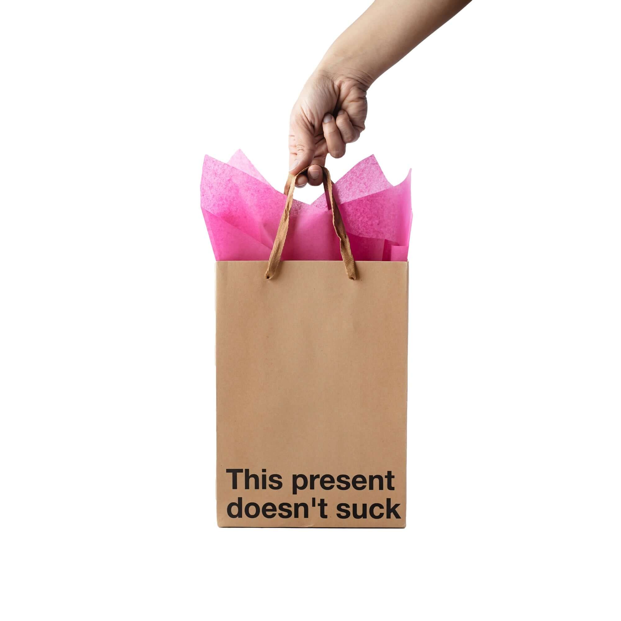 "This Present Doesn't Suck" Gift Bag - Image 6